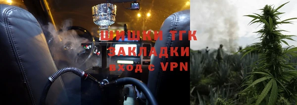 мдпв Пестово