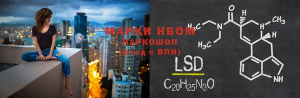 СК Пересвет