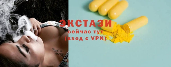 СК Пересвет