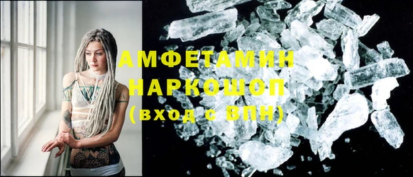 СК Пересвет