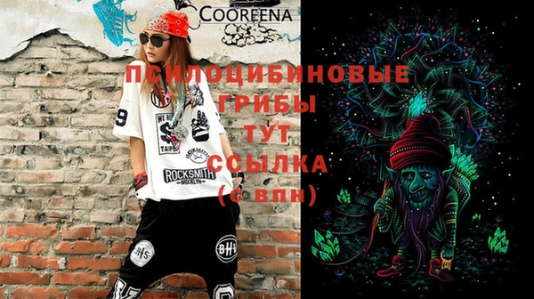 мдпв Пестово
