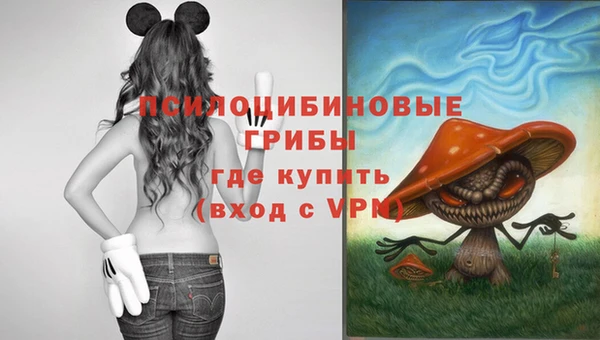 мдпв Пестово