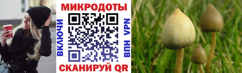 mega зеркало  Борисоглебск  Псилоцибиновые грибы MAGIC MUSHROOMS 