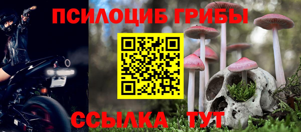 Борисоглебск  Псилоцибиновые грибы Psilocybine cubensis  Вход с VPN  Псилоцибиновые грибы мухоморы 
